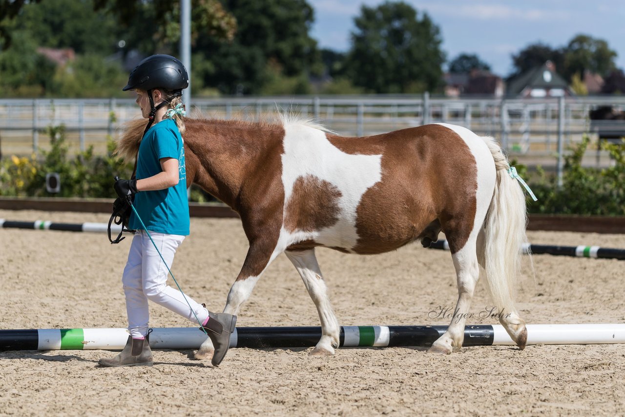 Bild 202 - Pony Akademie Turnier